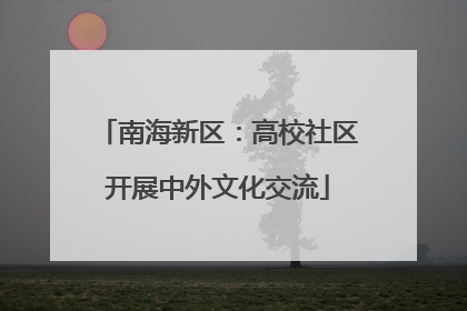 南海新区：高校社区开展中外文化交流