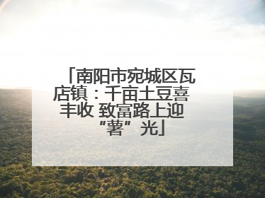 南阳市宛城区瓦店镇：千亩土豆喜丰收 致富路上迎“薯”光