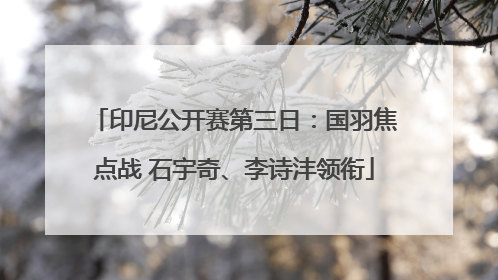 印尼公开赛第三日：国羽焦点战 石宇奇、李诗沣领衔