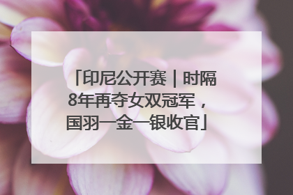 印尼公开赛｜时隔8年再夺女双冠军，国羽一金一银收官