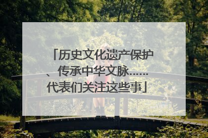 历史文化遗产保护、传承中华文脉……代表们关注这些事
