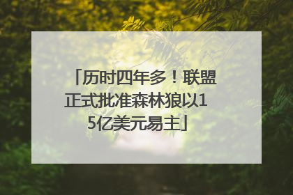 历时四年多！联盟正式批准森林狼以15亿美元易主