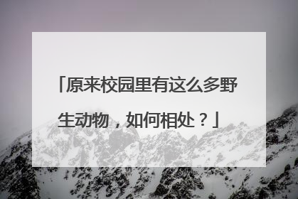 原来校园里有这么多野生动物，如何相处？