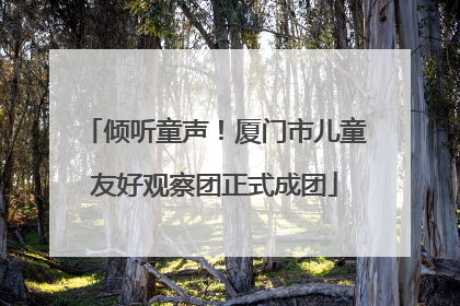 倾听童声！厦门市儿童友好观察团正式成团