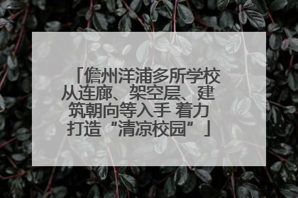 儋州洋浦多所学校从连廊、架空层、建筑朝向等入手 着力打造“清凉校园”