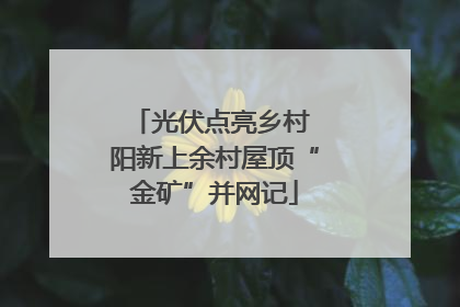 光伏点亮乡村 阳新上余村屋顶“金矿”并网记