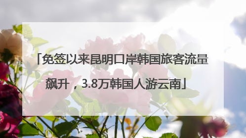 免签以来昆明口岸韩国旅客流量飙升，3.8万韩国人游云南