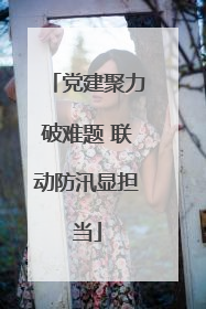 党建聚力破难题 联动防汛显担当