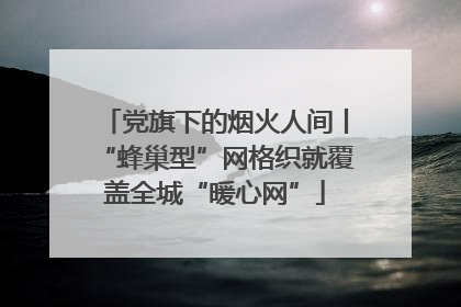党旗下的烟火人间丨“蜂巢型”网格织就覆盖全城“暖心网”