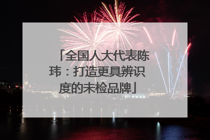 全国人大代表陈玮：打造更具辨识度的未检品牌