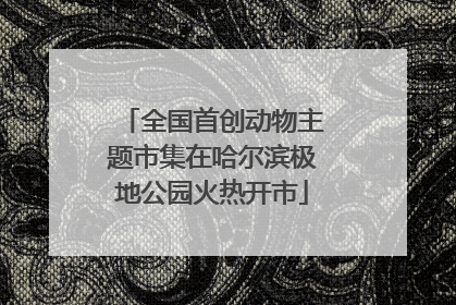 全国首创动物主题市集在哈尔滨极地公园火热开市