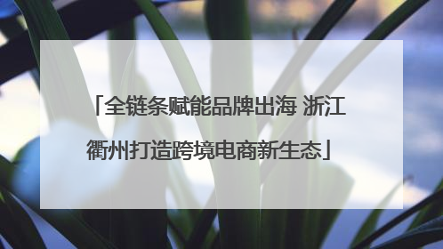 全链条赋能品牌出海 浙江衢州打造跨境电商新生态