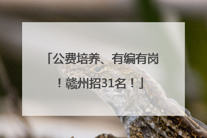 公费培养、有编有岗！赣州招31名！