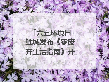 六五环境日｜鲤城发布《零废弃生活指南》开启露营新玩法