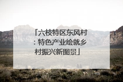 六枝特区东风村：特色产业绘就乡村振兴新图景