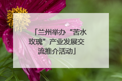 兰州举办“苦水玫瑰”产业发展交流推介活动
