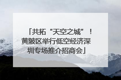 共拓“天空之城”！黄陂区举行低空经济深圳专场推介招商会