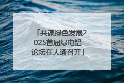 共谋绿色发展2025首届绿电铝论坛在大通召开