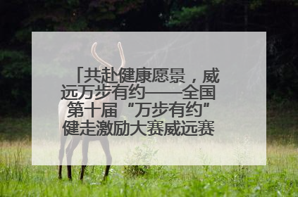 共赴健康愿景，威远万步有约——全国第十届“万步有约”健走激励大赛威远赛区启动仪式