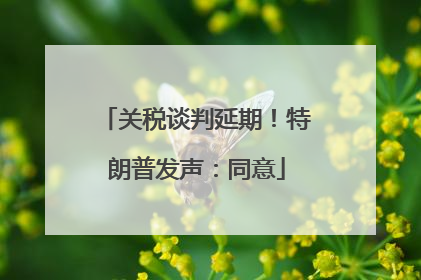 关税谈判延期！特朗普发声：同意