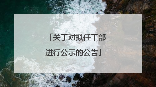 关于对拟任干部进行公示的公告