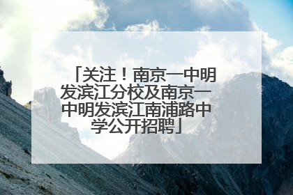 关注！南京一中明发滨江分校及南京一中明发滨江南浦路中学公开招聘