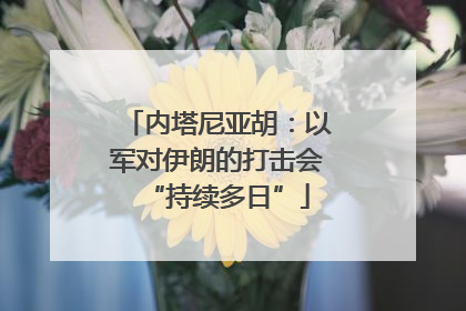 内塔尼亚胡：以军对伊朗的打击会“持续多日”