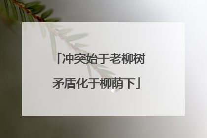 冲突始于老柳树 矛盾化于柳荫下