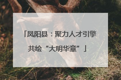 凤阳县：聚力人才引擎 共绘“大明华章”