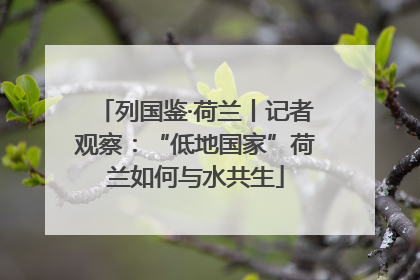 列国鉴·荷兰丨记者观察：“低地国家”荷兰如何与水共生