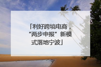 利好跨境电商，“两步申报”新模式落地宁波