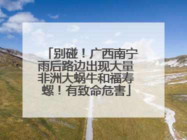 别碰！广西南宁雨后路边出现大量非洲大蜗牛和福寿螺！有致命危害