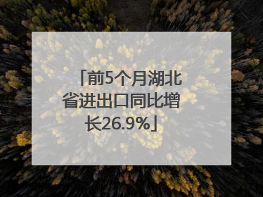 前5个月湖北省进出口同比增长26.9%