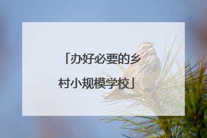 办好必要的乡村小规模学校