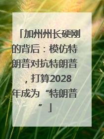 加州州长硬刚的背后：模仿特朗普对抗特朗普，打算2028年成为“特朗普”
