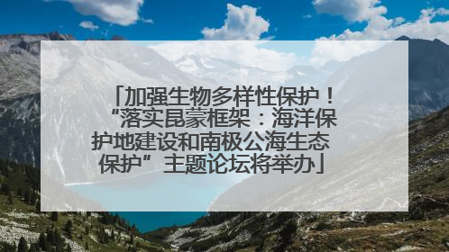 加强生物多样性保护！“落实昆蒙框架：海洋保护地建设和南极公海生态保护”主题论坛将举办