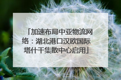 加速布局中亚物流网络：湖北港口汉欧国际塔什干集散中心启用