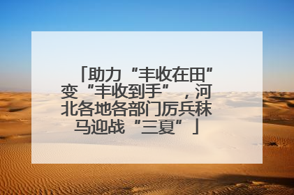 助力“丰收在田”变“丰收到手”，河北各地各部门厉兵秣马迎战“三夏”