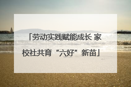 劳动实践赋能成长 家校社共育“六好”新苗