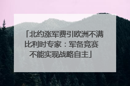 北约涨军费引欧洲不满 比利时专家：军备竞赛不能实现战略自主