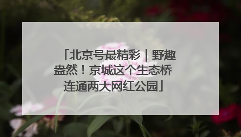 北京号最精彩｜野趣盎然！京城这个生态桥连通两大网红公园