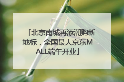 北京南城再添潮购新地标，全国最大京东MALL端午开业
