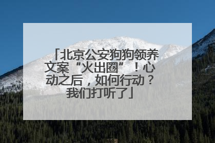 北京公安狗狗领养文案“火出圈”！心动之后，如何行动？我们打听了