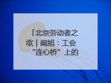 北京劳动者之歌｜阚旭：工会“连心桥”上的37℃守桥人