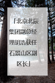 北京北辰集团副总经理胡浩获任石景山区副区长