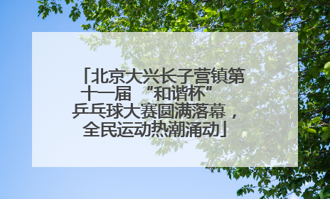 北京大兴长子营镇第十一届 “和谐杯” 乒乓球大赛圆满落幕，全民运动热潮涌动