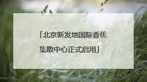北京新发地国际香蕉集散中心正式启用
