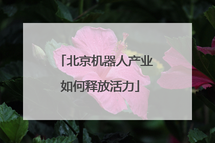 北京机器人产业如何释放活力