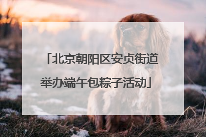 北京朝阳区安贞街道举办端午包粽子活动