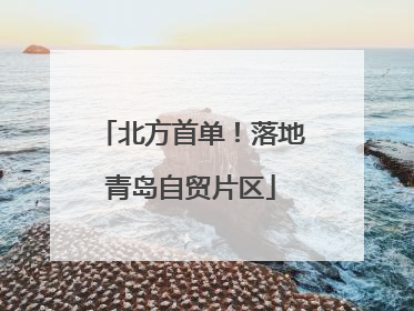 北方首单！落地青岛自贸片区